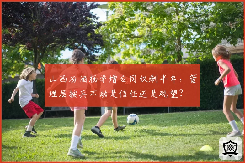 山西汾酒杨学增合同仅剩半年,管理层按兵不动是信任还是观望?