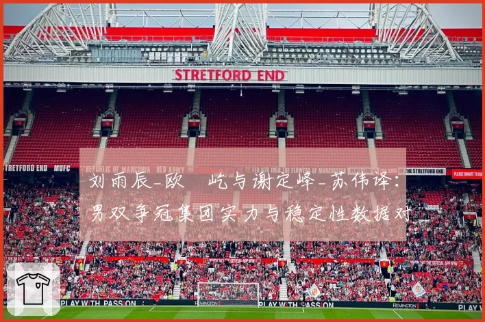 刘雨辰_欧烜屹与谢定峰_苏伟译：男双争冠集团实力与稳定性数据对比