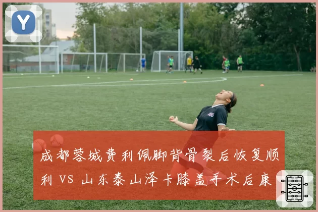 成都蓉城费利佩脚背骨裂后恢复顺利 vs 山东泰山泽卡膝盖手术后康复缓慢，巴西锋将复出时间表分化