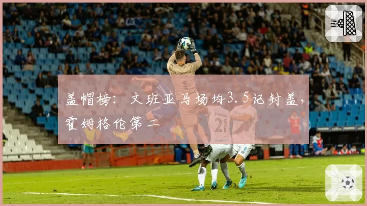 盖帽榜：文班亚马场均3.5记封盖，霍姆格伦第二