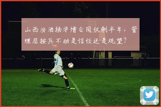 山西汾酒杨学增合同仅剩半年,管理层按兵不动是信任还是观望?